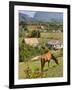 Horse Grazing on a Hillside in the Valle De Vinales, Pinar Del Rio Province, Cuba-Martin Child-Framed Photographic Print