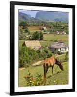 Horse Grazing on a Hillside in the Valle De Vinales, Pinar Del Rio Province, Cuba-Martin Child-Framed Photographic Print