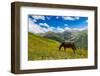 Horse grazing with Khaldechala River Valley and Caucasian mountains in background-Jan Miracky-Framed Photographic Print