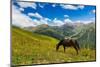 Horse grazing with Khaldechala River Valley and Caucasian mountains in background-Jan Miracky-Mounted Photographic Print