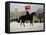 Horse Guards Parade-Vincent Haddelsey-Framed Stretched Canvas