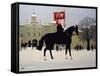 Horse Guards Parade-Vincent Haddelsey-Framed Stretched Canvas