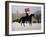 Horse Guards Parade-Vincent Haddelsey-Framed Giclee Print