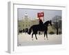 Horse Guards Parade-Vincent Haddelsey-Framed Giclee Print
