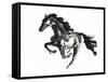 Horse H1-Chris Paschke-Framed Stretched Canvas