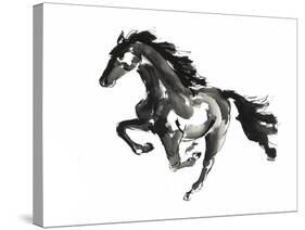Horse H1-Chris Paschke-Stretched Canvas