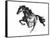 Horse H1-Chris Paschke-Framed Stretched Canvas