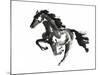 Horse H1-Chris Paschke-Mounted Premium Giclee Print