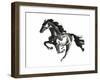 Horse H1-Chris Paschke-Framed Premium Giclee Print