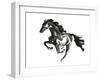 Horse H1-Chris Paschke-Framed Premium Giclee Print