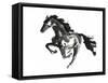 Horse H1-Chris Paschke-Framed Stretched Canvas