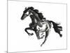 Horse H1-Chris Paschke-Mounted Premium Giclee Print