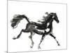 Horse H4-Chris Paschke-Mounted Premium Giclee Print