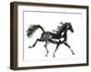 Horse H4-Chris Paschke-Framed Giclee Print