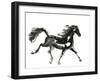 Horse H4-Chris Paschke-Framed Giclee Print