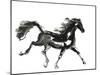Horse H4-Chris Paschke-Mounted Giclee Print