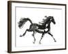 Horse H4-Chris Paschke-Framed Premium Giclee Print