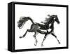 Horse H4-Chris Paschke-Framed Stretched Canvas