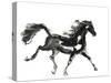 Horse H4-Chris Paschke-Stretched Canvas