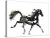 Horse H4-Chris Paschke-Stretched Canvas