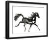 Horse H4-Chris Paschke-Framed Premium Giclee Print