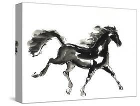 Horse H4-Chris Paschke-Stretched Canvas