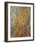 Horse Head, 1912-Mikhail Vasilyevich Le Dantyu-Framed Giclee Print