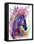 Horse Head 2-Stephanie Analah-Framed Stretched Canvas