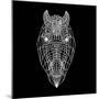 Horse Head Black Mesh-Lisa Kroll-Mounted Art Print