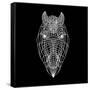 Horse Head Black Mesh-Lisa Kroll-Framed Stretched Canvas