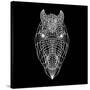 Horse Head Black Mesh-Lisa Kroll-Stretched Canvas