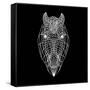 Horse Head Black Mesh-Lisa Kroll-Framed Stretched Canvas