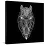 Horse Head Black Mesh-Lisa Kroll-Stretched Canvas