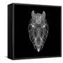 Horse Head Black Mesh-Lisa Kroll-Framed Stretched Canvas