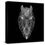 Horse Head Black Mesh-Lisa Kroll-Stretched Canvas