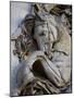 Horse Head Detail on the Arc de Triomphe, Paris, France-Jim Zuckerman-Mounted Photographic Print