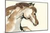 Horse Head I-Chris Paschke-Mounted Art Print