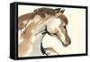 Horse Head I-Chris Paschke-Framed Stretched Canvas