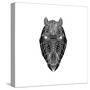 Horse Head Mesh-Lisa Kroll-Stretched Canvas