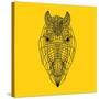 Horse Head Yellow Mesh-Lisa Kroll-Stretched Canvas