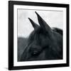 Horse Head-Pete Kelly-Framed Giclee Print