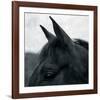 Horse Head-Pete Kelly-Framed Giclee Print