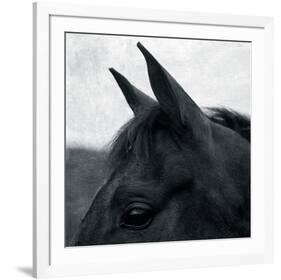 Horse Head-Pete Kelly-Framed Giclee Print