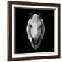 Horse Head-Lisa Kroll-Framed Art Print