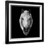 Horse Head-Lisa Kroll-Framed Art Print