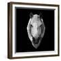 Horse Head-Lisa Kroll-Framed Art Print