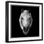 Horse Head-Lisa Kroll-Framed Art Print