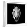 Horse Head-Lisa Kroll-Framed Art Print