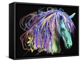 Horse Head-Stephanie Analah-Framed Stretched Canvas