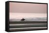 Horse Horseback Riding on Beach by Sunset-null-Framed Stretched Canvas